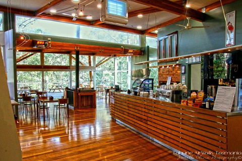 Small-group DayTour From Hobart: Hastings Caves, Huon Valley And Tahune AirWalk - Accommodation Great Ocean Road 15