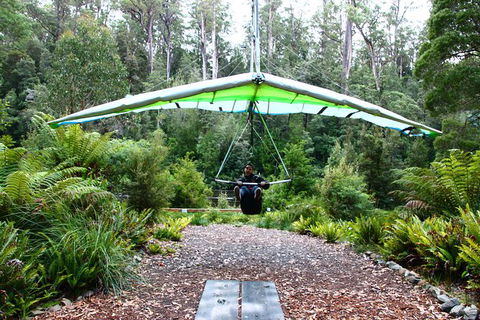 Small-group DayTour From Hobart: Hastings Caves, Huon Valley And Tahune AirWalk - Accommodation Great Ocean Road 10