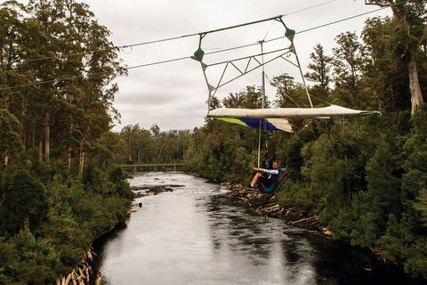 Small-group DayTour From Hobart: Hastings Caves, Huon Valley And Tahune AirWalk - Accommodation Great Ocean Road 14