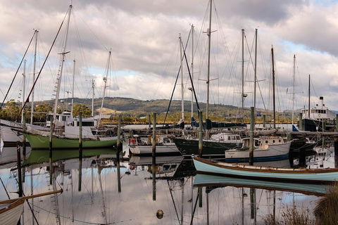 Small-group DayTour From Hobart: Hastings Caves, Huon Valley And Tahune AirWalk - Accommodation Great Ocean Road 13