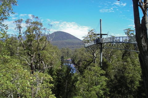 Small-group DayTour From Hobart: Hastings Caves, Huon Valley And Tahune AirWalk - Accommodation Great Ocean Road 9