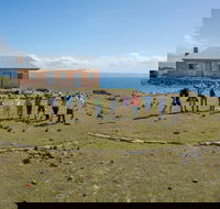 Maria Island Active Day Trip from Hobart - Accommodation Great Ocean Road