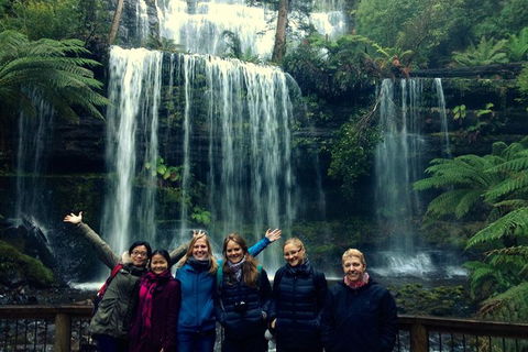 Mt Field National Park Active Day-Trip Including Bonorong And Mt Wellington - Accommodation Great Ocean Road 9