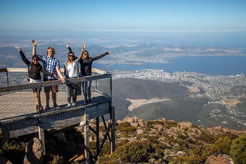 Mt Field National Park Active Day-Trip Including Bonorong And Mt Wellington - Accommodation Great Ocean Road 2