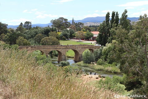 Mt Wellington And Richmond Historical Village Discounted Combo Tour - Accommodation Great Ocean Road 1