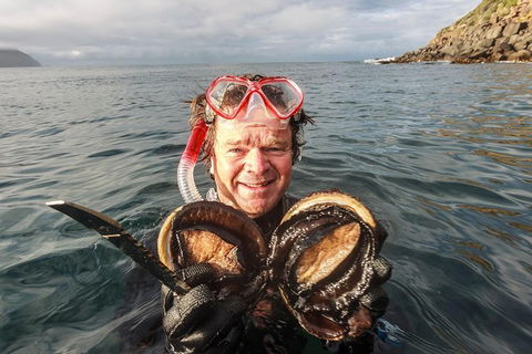 Fresh From The Ocean: Tasmanian Seafood Gourmet Full-Day Cruise Including Lunch - Accommodation Great Ocean Road 1