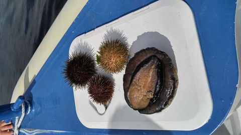 Fresh From The Ocean: Tasmanian Seafood Gourmet Full-Day Cruise Including Lunch - Accommodation Great Ocean Road 6