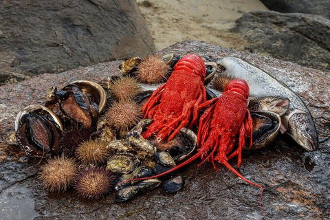 Fresh From The Ocean: Tasmanian Seafood Gourmet Full-Day Cruise Including Lunch - Accommodation Great Ocean Road 16
