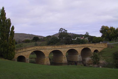 Hobart Shore Excursion: Half Day Bonorong Wildlife Park With Richmond Tour - Accommodation Great Ocean Road 1