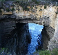 Cruise Ship Special from Port Arthur Explore Tasman Peninsula with free WiFi - Accommodation Great Ocean Road