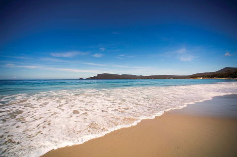 Private Bruny Island Nature Day Trip From Hobart - Accommodation Great Ocean Road 1