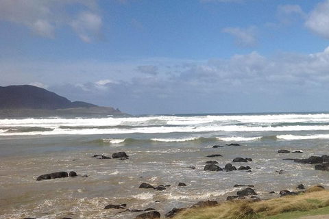 Private Bruny Island Nature Day Trip From Hobart - Accommodation Great Ocean Road 0