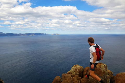 2-Day: Hobart Adventure Tour: Maria Island National Park And Cape Raoul Hike - Accommodation Great Ocean Road 1