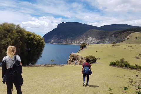 3-Day: Hobart Nature Walking Tour: Maria Island, Cape Raoul & Mount Field - Accommodation Great Ocean Road 3
