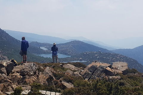 3-Day: Hobart Nature Walking Tour: Maria Island, Cape Raoul & Mount Field - Accommodation Great Ocean Road 11
