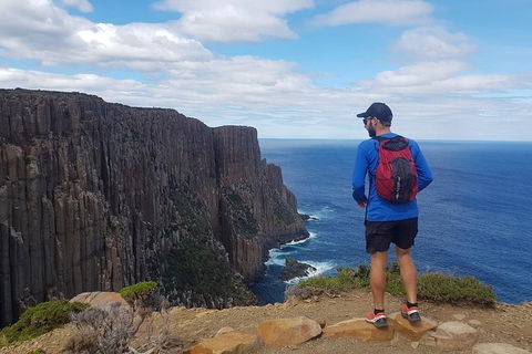 3-Day: Hobart Nature Walking Tour: Maria Island, Cape Raoul & Mount Field - Accommodation Great Ocean Road 13