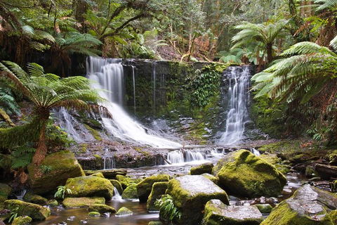 3-Day: Hobart Nature Walking Tour: Maria Island, Cape Raoul & Mount Field - Accommodation Great Ocean Road 10