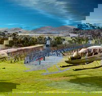 Frogmore Creek Winery by Helicopter with Lunch - Accommodation Great Ocean Road