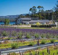 Private Tasman Peninsula Cruise Ship Tour from Port Arthur - Accommodation Great Ocean Road