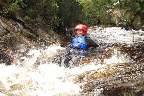 Half Day Cradle Mountain Canyoning: Lost World Canyon - Accommodation Great Ocean Road 0