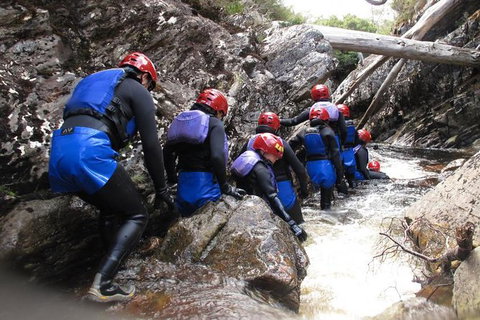 Half Day Cradle Mountain Canyoning: Lost World Canyon - Accommodation Great Ocean Road 1