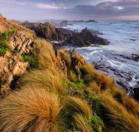 4-Day Tarkine Wilderness Photography Workshop - Accommodation Great Ocean Road