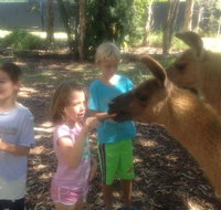 Unguided Family Llama Walk - Accommodation Great Ocean Road