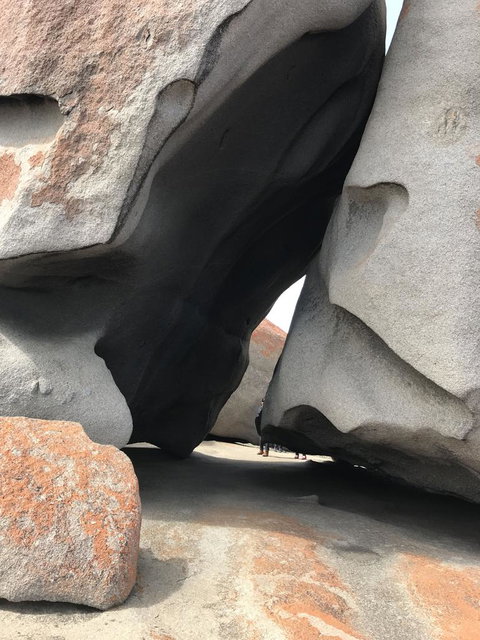 Kangaroo Island In A Day Tour From Adelaide - Accommodation Great Ocean Road 7