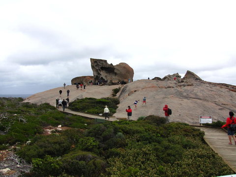 Kangaroo Island In A Day Tour From Adelaide - Accommodation Great Ocean Road 21
