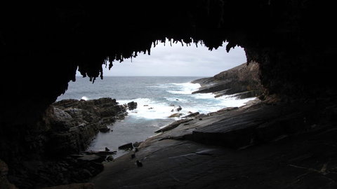 Kangaroo Island In A Day Tour From Adelaide - Accommodation Great Ocean Road 20