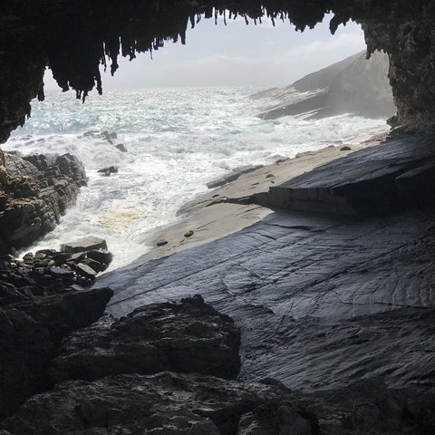 Kangaroo Island In A Day Tour From Adelaide - Accommodation Great Ocean Road 5