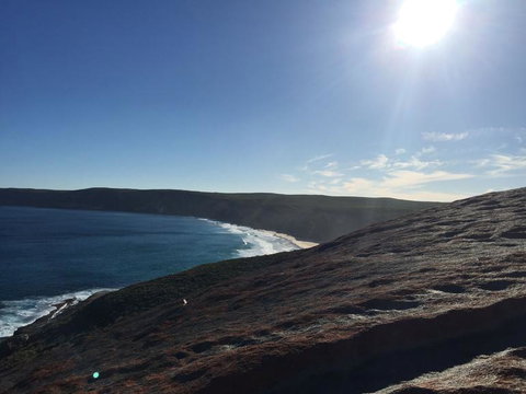 Kangaroo Island In A Day Tour From Adelaide - Accommodation Great Ocean Road 17