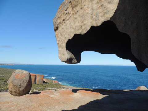 Kangaroo Island In A Day Tour From Adelaide - Accommodation Great Ocean Road 13