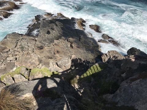 Kangaroo Island In A Day Tour From Adelaide - Accommodation Great Ocean Road 3