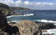 Kangaroo Island In A Day Tour From Adelaide - thumb 4