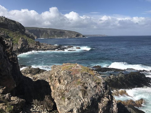 Kangaroo Island In A Day Tour From Adelaide - Accommodation Great Ocean Road 4
