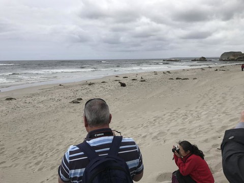 Kangaroo Island In A Day Tour From Adelaide - Accommodation Great Ocean Road 10
