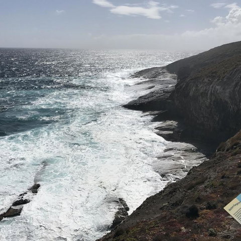 Kangaroo Island In A Day Tour From Adelaide - Accommodation Great Ocean Road 6