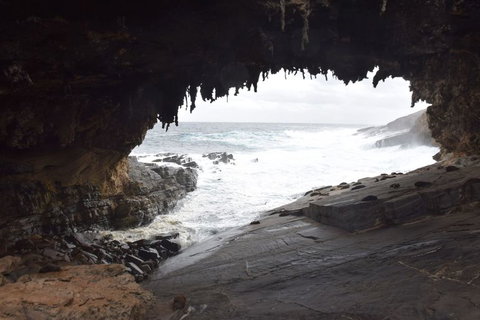 Kangaroo Island In A Day Tour From Adelaide - Accommodation Great Ocean Road 18