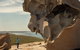 Kangaroo Island In A Day Tour From Adelaide - thumb 30