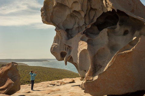 Kangaroo Island In A Day Tour From Adelaide - Accommodation Great Ocean Road 30