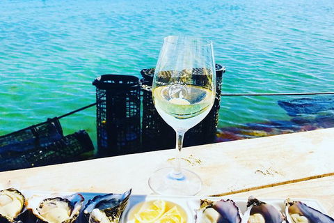 Coffin Bay Oyster Farm & Tasting Tour - Accommodation Great Ocean Road 11