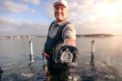 Coffin Bay Oyster Farm & Tasting Tour - Accommodation Great Ocean Road 3