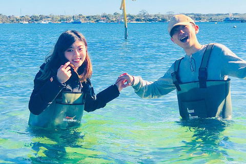 Coffin Bay Oyster Farm & Tasting Tour - Accommodation Great Ocean Road 4