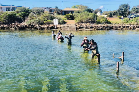 Coffin Bay Oyster Farm & Tasting Tour - Accommodation Great Ocean Road 6