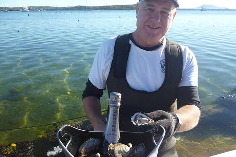 Coffin Bay Oyster Farm & Tasting Tour - Accommodation Great Ocean Road 2