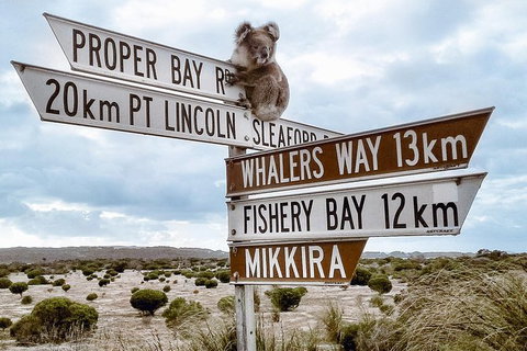 Private Port Lincoln Day Tour: Tasting Eyre - Accommodation Great Ocean Road 0