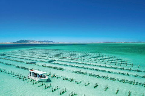 Coffin Bay Private Day Tour From Port Lincoln - A Taste Of Coffin Bay - Accommodation Great Ocean Road 0