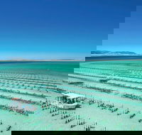 Coffin Bay Day Tour - A Taste of Coffin Bay - Accommodation Great Ocean Road