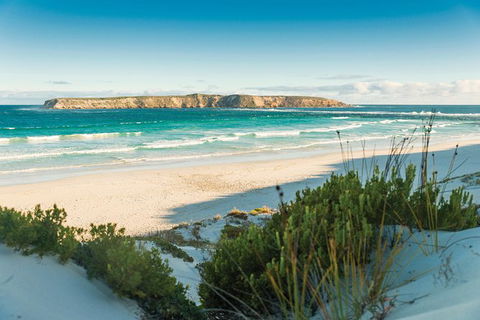 Coffin Bay Day Tour - A Taste Of Coffin Bay - Accommodation Great Ocean Road 13
